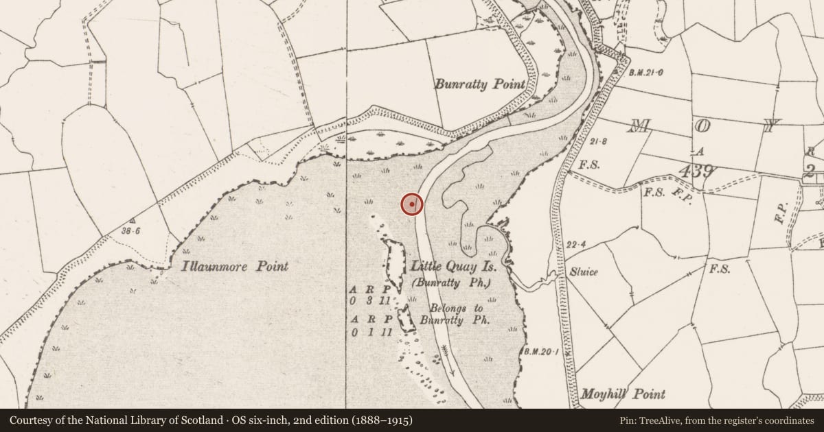 Ordnance Survey six-inch map, 2nd edition (1888–1915) covering the location of Weir - fish, Bunratty West, River Shannon, County Clare, with a pin at the register's coordinates