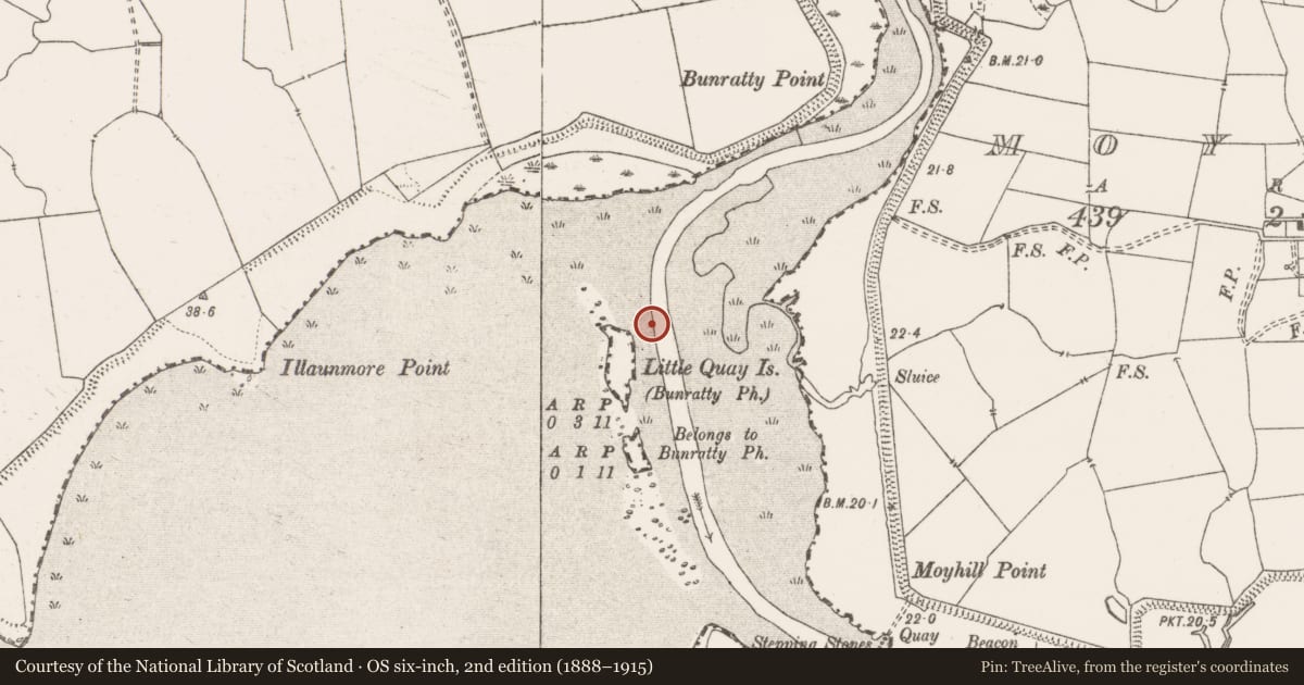 Ordnance Survey six-inch map, 2nd edition (1888–1915) covering the location of Weir - fish, Bunratty West, River Shannon, County Clare, with a pin at the register's coordinates