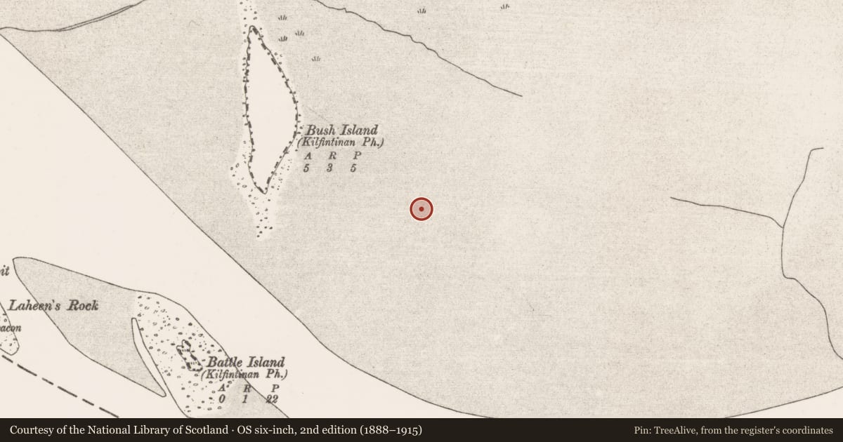 Ordnance Survey six-inch map, 2nd edition (1888–1915) covering the location of Weir - fish, Bush Island, River Shannon, County Clare, with a pin at the register's coordinates