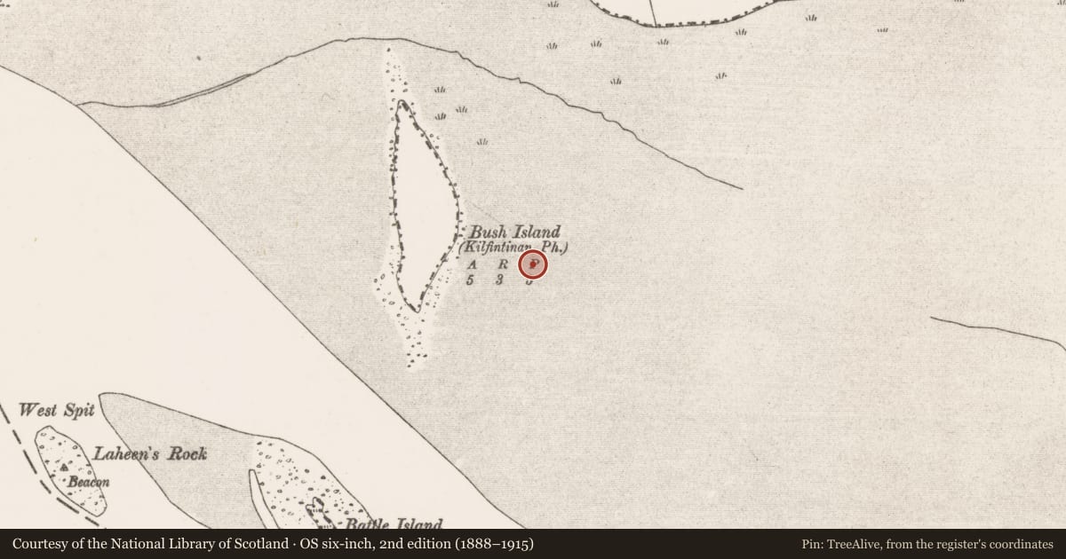 Ordnance Survey six-inch map, 2nd edition (1888–1915) covering the location of Weir - fish, Bush Island, River Shannon, County Clare, with a pin at the register's coordinates