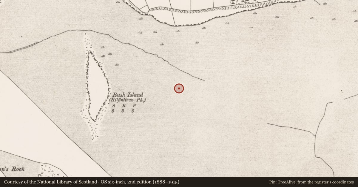 Ordnance Survey six-inch map, 2nd edition (1888–1915) covering the location of Weir - fish, Bush Island, River Shannon, County Clare, with a pin at the register's coordinates