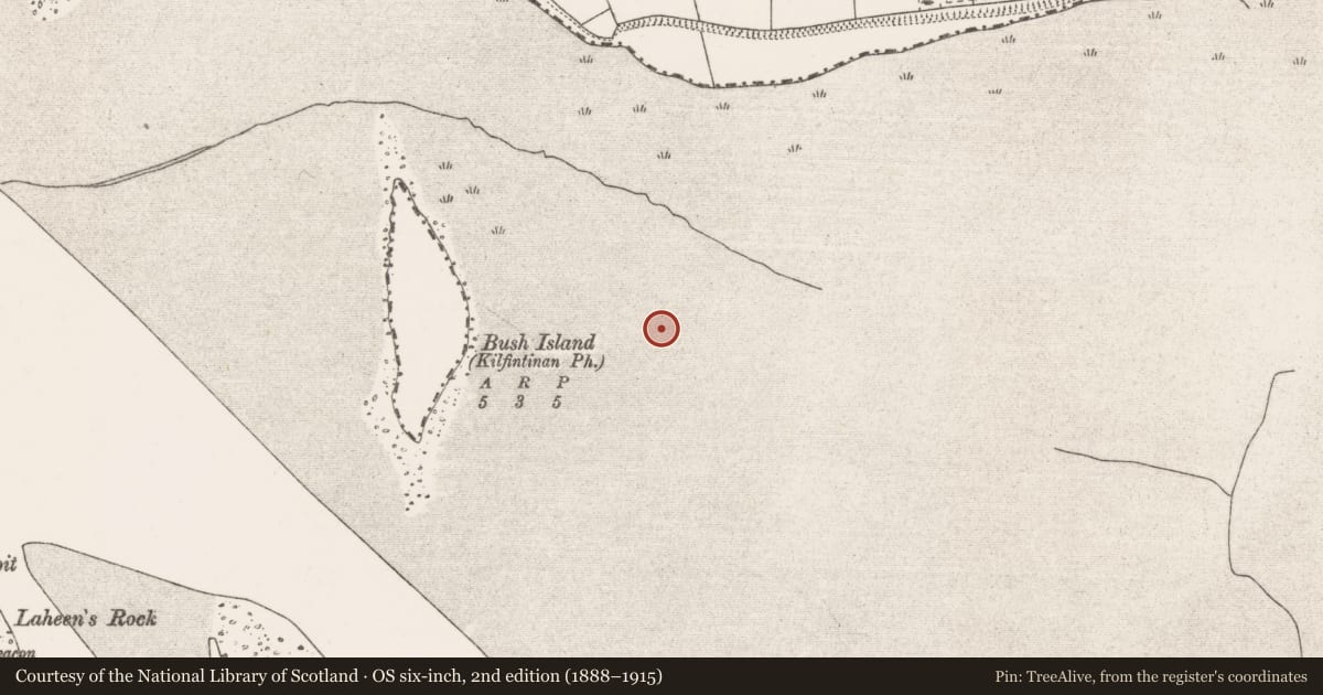Ordnance Survey six-inch map, 2nd edition (1888–1915) covering the location of Weir - fish, Bush Island, River Shannon, County Clare, with a pin at the register's coordinates