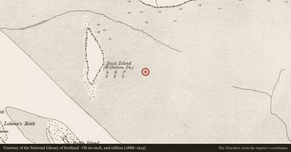 Ordnance Survey six-inch map, 2nd edition (1888–1915) covering the location of Weir - fish, Bushy Island, River Shannon, County Clare, with a pin at the register's coordinates