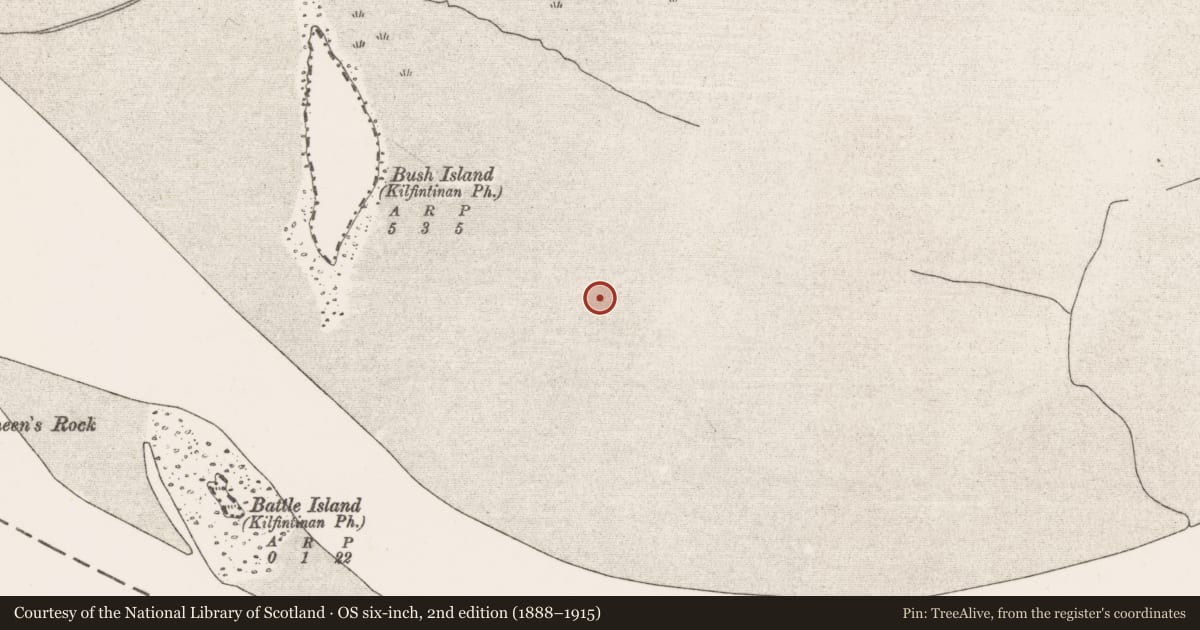 Ordnance Survey six-inch map, 2nd edition (1888–1915) covering the location of Weir - fish, Bush Island, River Shannon, County Clare, with a pin at the register's coordinates