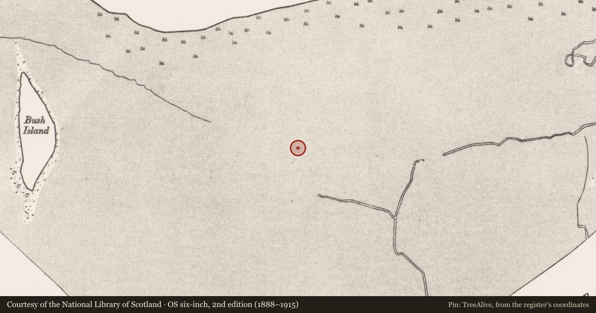 Ordnance Survey six-inch map, 2nd edition (1888–1915) covering the location of Weir - fish, Bush Island, River Shannon, County Clare, with a pin at the register's coordinates