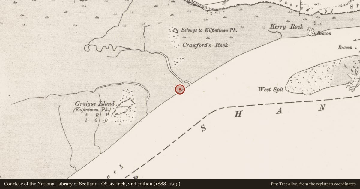 Ordnance Survey six-inch map, 2nd edition (1888–1915) covering the location of Weir - fish, Graigue Island, River Shannon, County Clare, with a pin at the register's coordinates