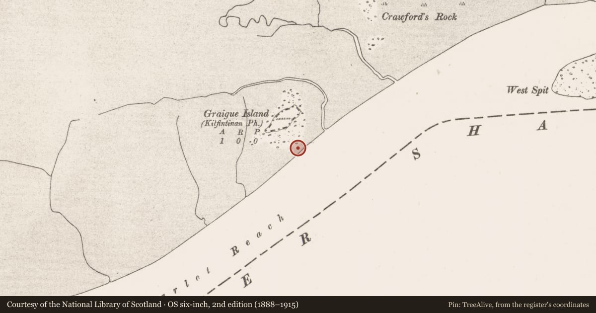 Ordnance Survey six-inch map, 2nd edition (1888–1915) covering the location of Weir - fish, River Shannon, Graigue Island, County Clare, with a pin at the register's coordinates