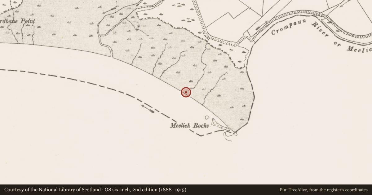 Ordnance Survey six-inch map, 2nd edition (1888–1915) covering the location of Weir - fish, Meelick, River Shannon, County Clare, with a pin at the register's coordinates