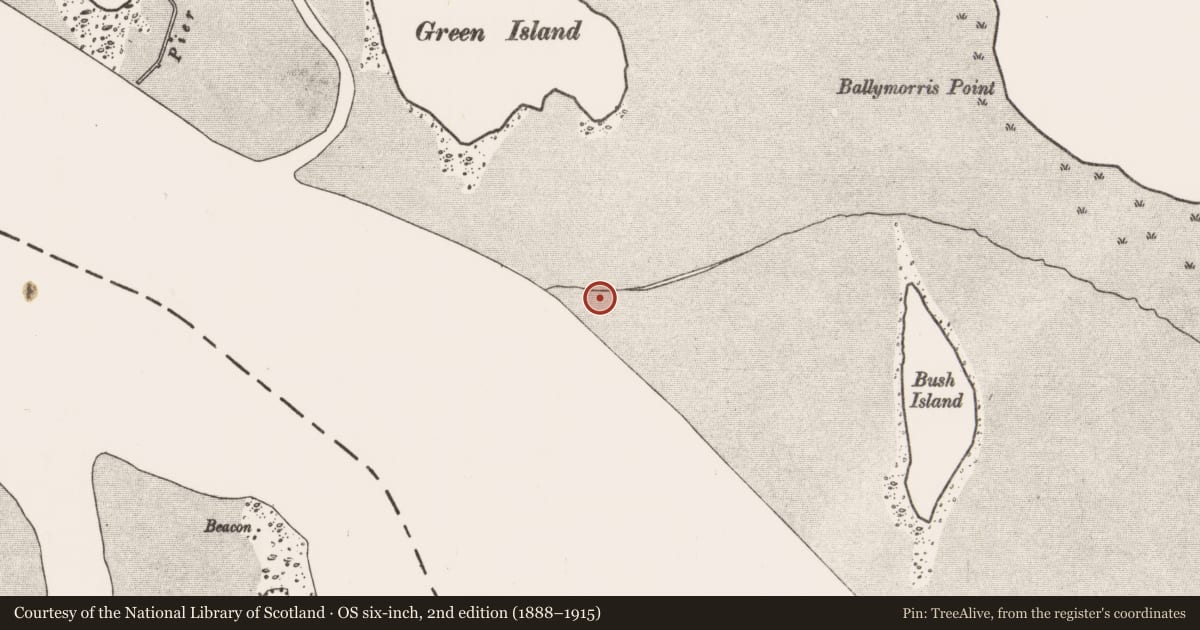 Ordnance Survey six-inch map, 2nd edition (1888–1915) covering the location of Weir - fish, County Clare, with a pin at the register's coordinates