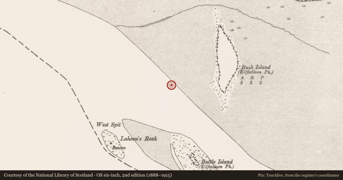 Ordnance Survey six-inch map, 2nd edition (1888–1915) covering the location of Weir - fish, Bush Island, River Shannon, County Clare, with a pin at the register's coordinates