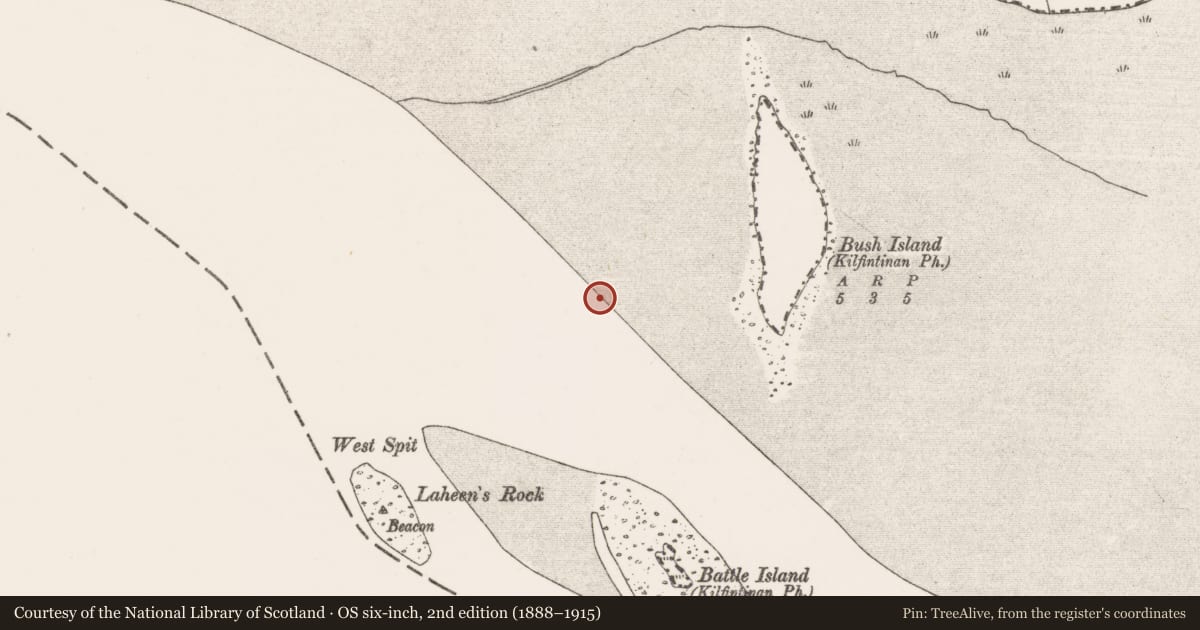 Ordnance Survey six-inch map, 2nd edition (1888–1915) covering the location of Weir - fish, Bush Island, River Shannon, County Clare, with a pin at the register's coordinates