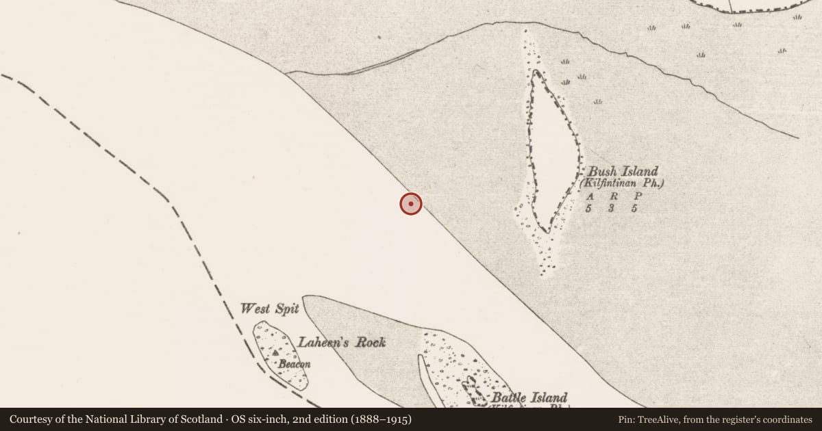 Ordnance Survey six-inch map, 2nd edition (1888–1915) covering the location of Weir - fish, Bush Island, River Shannon, County Clare, with a pin at the register's coordinates