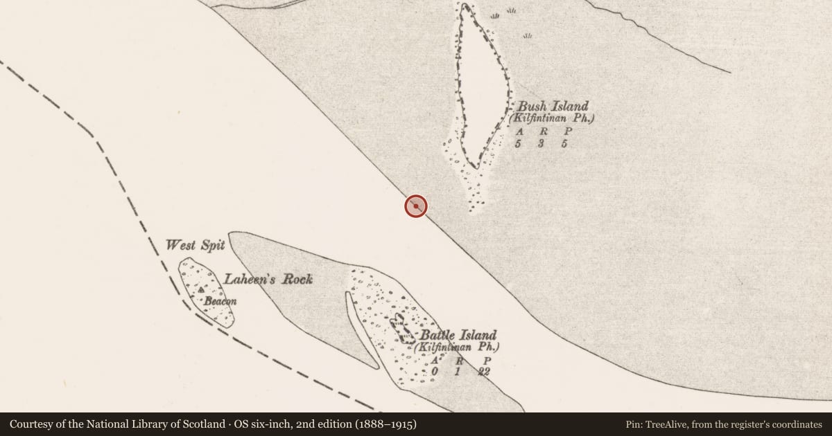 Ordnance Survey six-inch map, 2nd edition (1888–1915) covering the location of Weir - fish, Bush Island, River Shannon, County Clare, with a pin at the register's coordinates