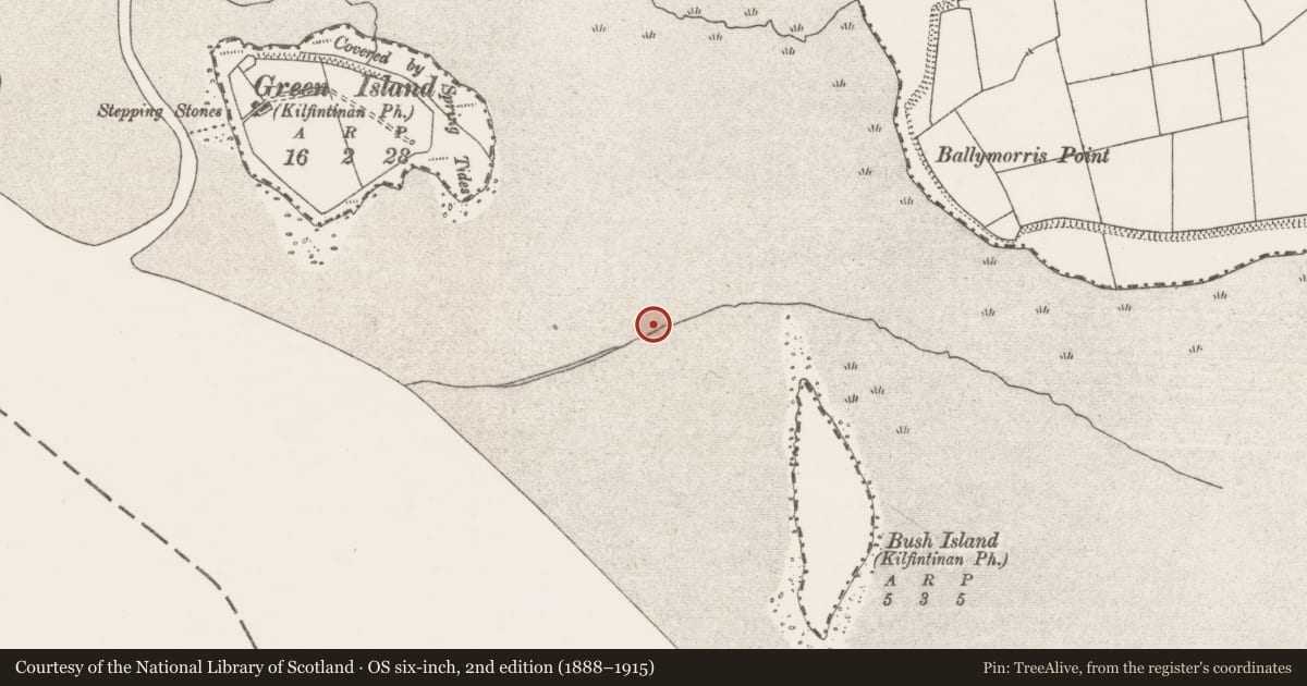 Ordnance Survey six-inch map, 2nd edition (1888–1915) covering the location of Weir - fish, Bush Island, River Shannon, County Clare, with a pin at the register's coordinates