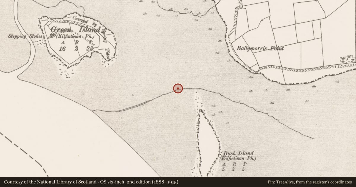 Ordnance Survey six-inch map, 2nd edition (1888–1915) covering the location of Weir - fish, Bush Island, River Shannon, County Clare, with a pin at the register's coordinates