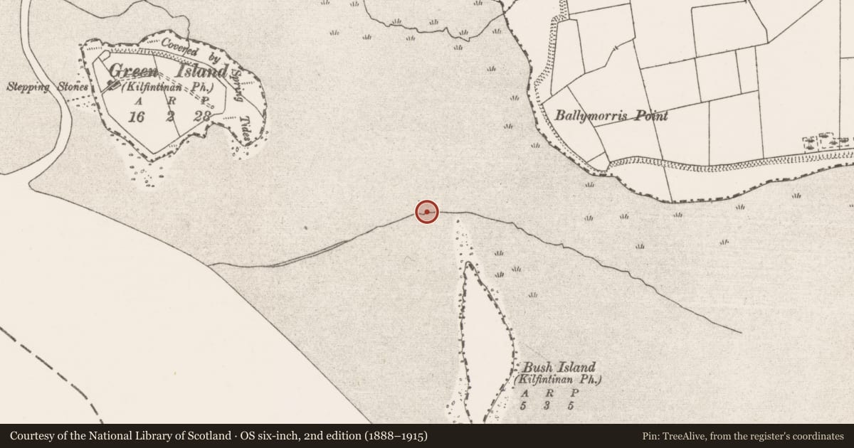 Ordnance Survey six-inch map, 2nd edition (1888–1915) covering the location of Weir - fish, Bush Island, River Shannon, County Clare, with a pin at the register's coordinates