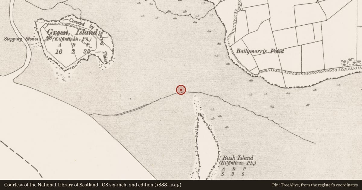 Ordnance Survey six-inch map, 2nd edition (1888–1915) covering the location of Weir - fish, Bush Island, River Shannon, County Clare, with a pin at the register's coordinates