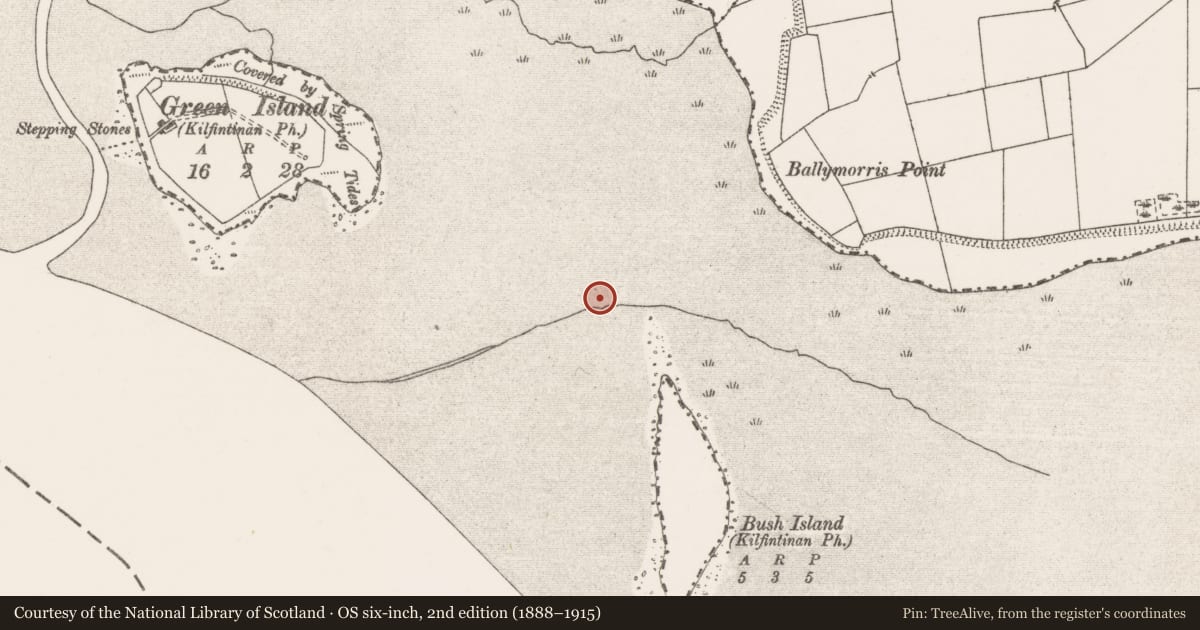 Ordnance Survey six-inch map, 2nd edition (1888–1915) covering the location of Weir - fish, Bush Island, River Shannon, County Clare, with a pin at the register's coordinates