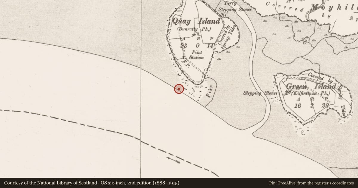 Ordnance Survey six-inch map, 2nd edition (1888–1915) covering the location of Weir - fish, Quay Island, River Shannon, County Clare, with a pin at the register's coordinates