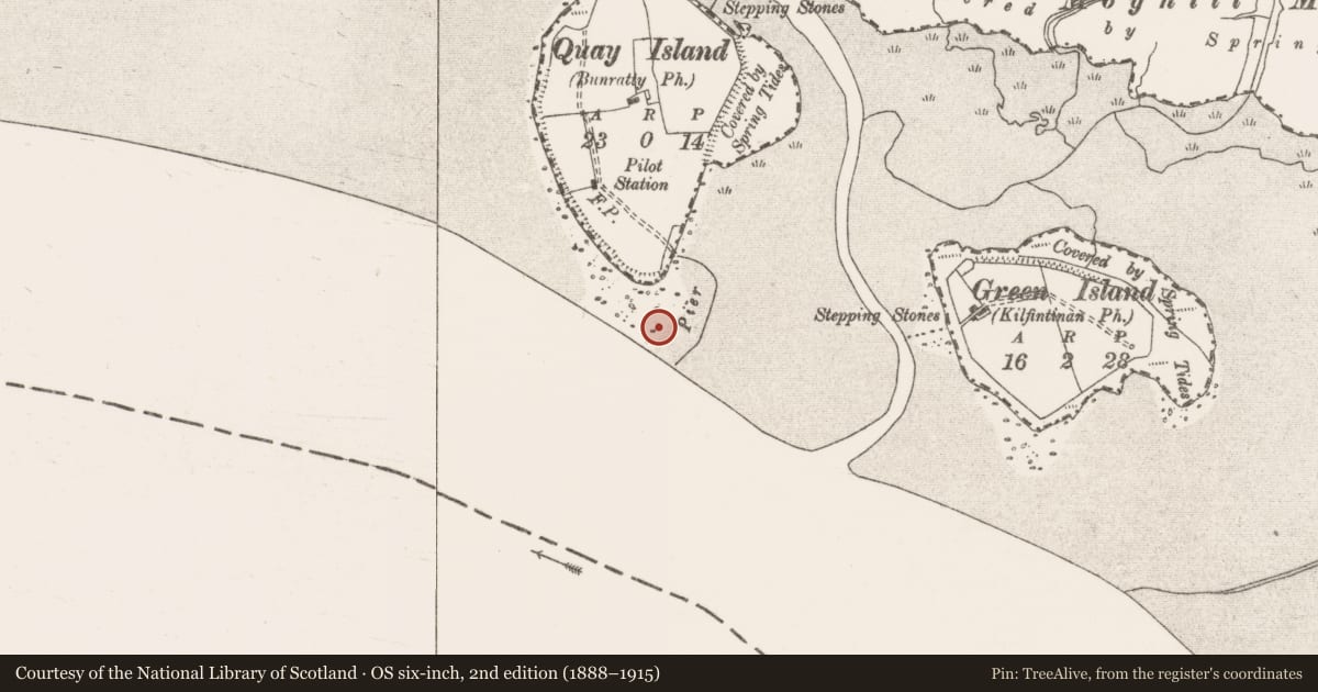 Ordnance Survey six-inch map, 2nd edition (1888–1915) covering the location of Pier/Jetty, Quay Island, River Shannon, County Clare, with a pin at the register's coordinates