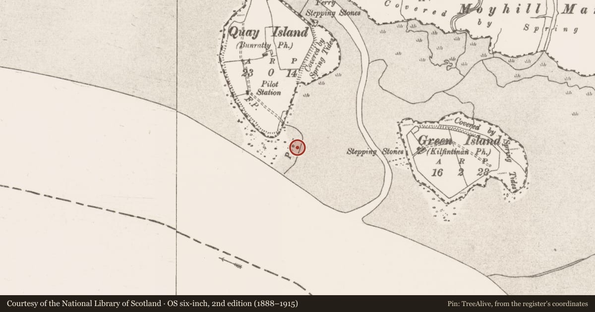 Ordnance Survey six-inch map, 2nd edition (1888–1915) covering the location of Pier/Jetty, Quay Island, River Shannon, County Clare, with a pin at the register's coordinates