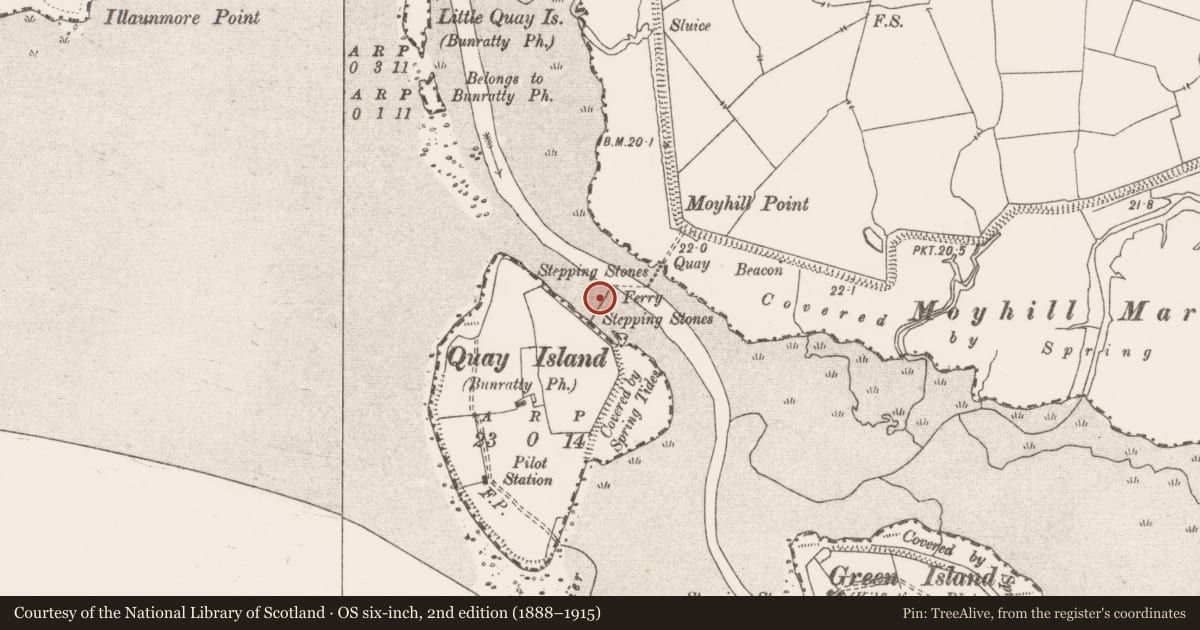 Ordnance Survey six-inch map, 2nd edition (1888–1915) covering the location of Pier/Jetty, Quay Island, River Shannon, County Clare, with a pin at the register's coordinates