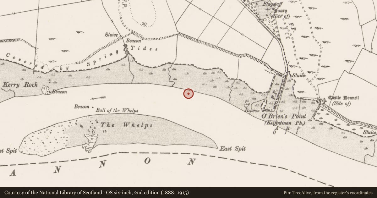 Ordnance Survey six-inch map, 2nd edition (1888–1915) covering the location of Weir - fish, Portdrine, River Shannon, County Clare, with a pin at the register's coordinates