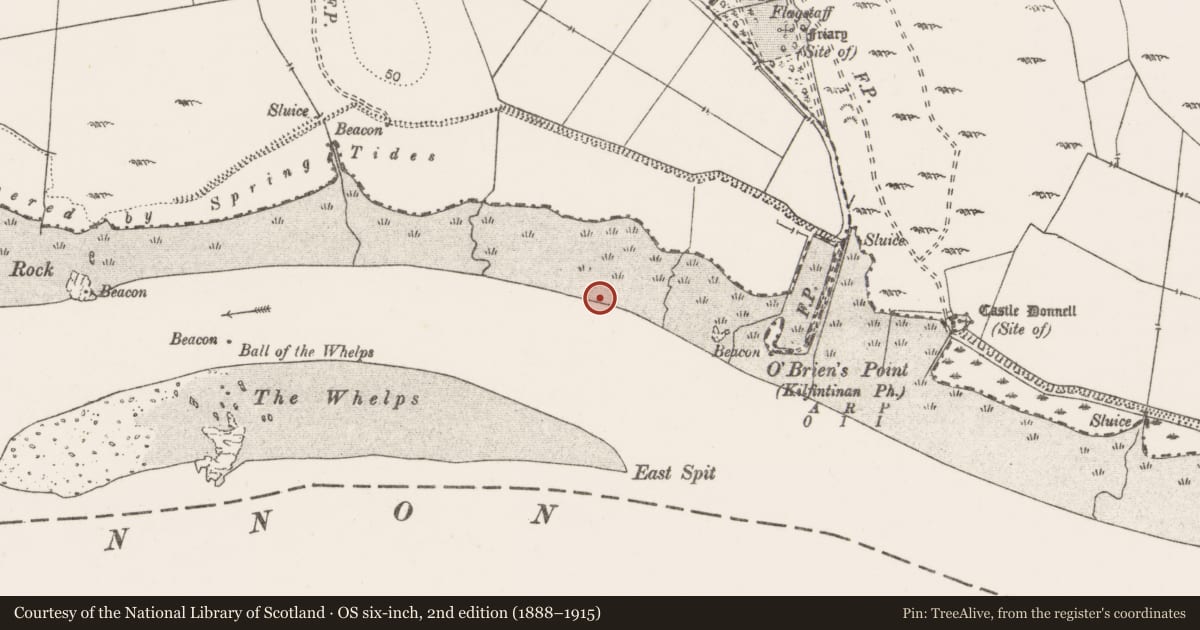 Ordnance Survey six-inch map, 2nd edition (1888–1915) covering the location of Weir - fish, Portdrine, River Shannon, County Clare, with a pin at the register's coordinates