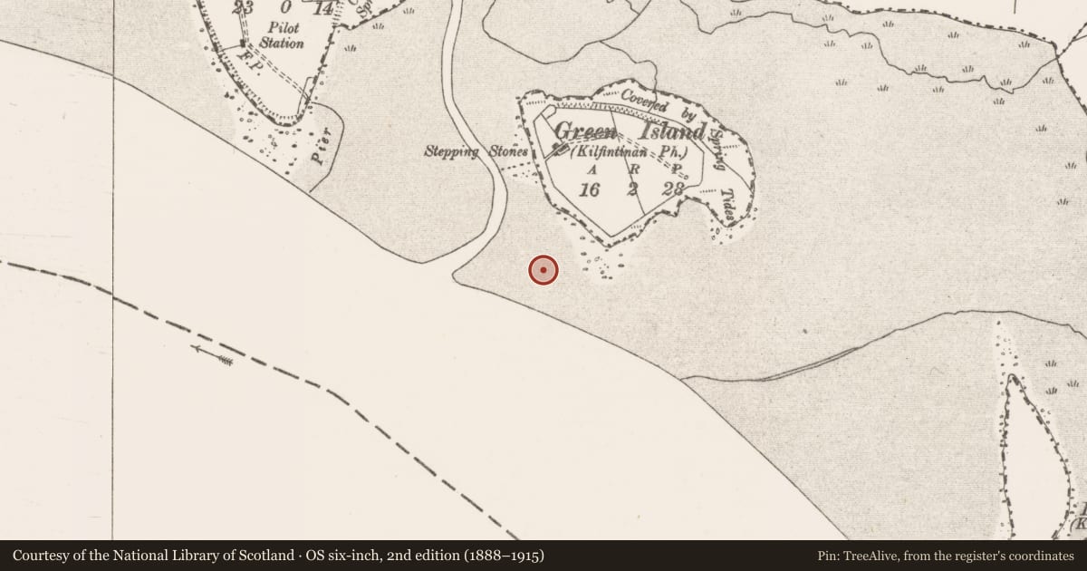 Ordnance Survey six-inch map, 2nd edition (1888–1915) covering the location of Weir - fish, Green Island, River Shannon, County Clare, with a pin at the register's coordinates