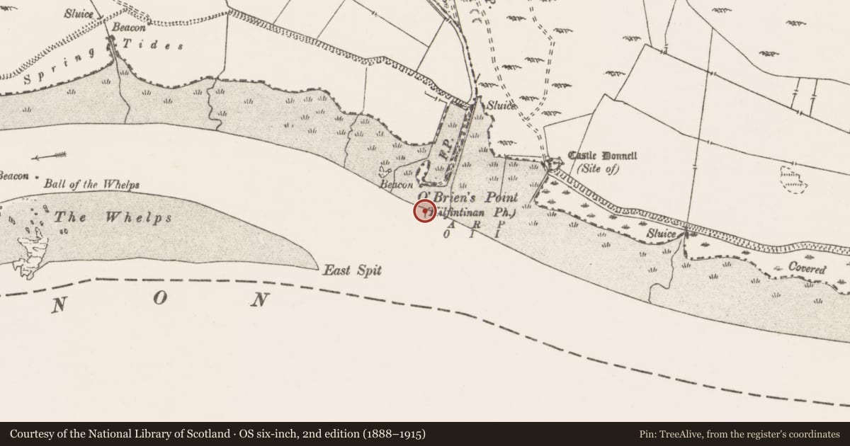 Ordnance Survey six-inch map, 2nd edition (1888–1915) covering the location of Pier/Jetty, Portdrine, River Shannon, County Clare, with a pin at the register's coordinates