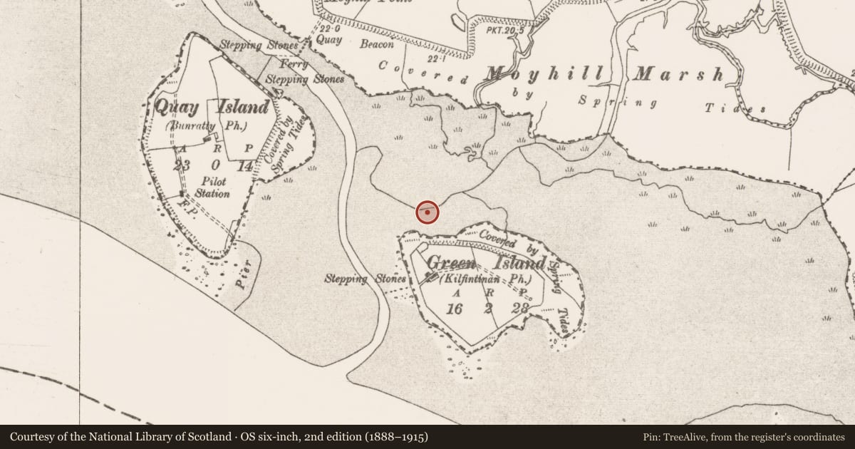 Ordnance Survey six-inch map, 2nd edition (1888–1915) covering the location of Causeway, Green Island, River Shannon, County Clare, with a pin at the register's coordinates