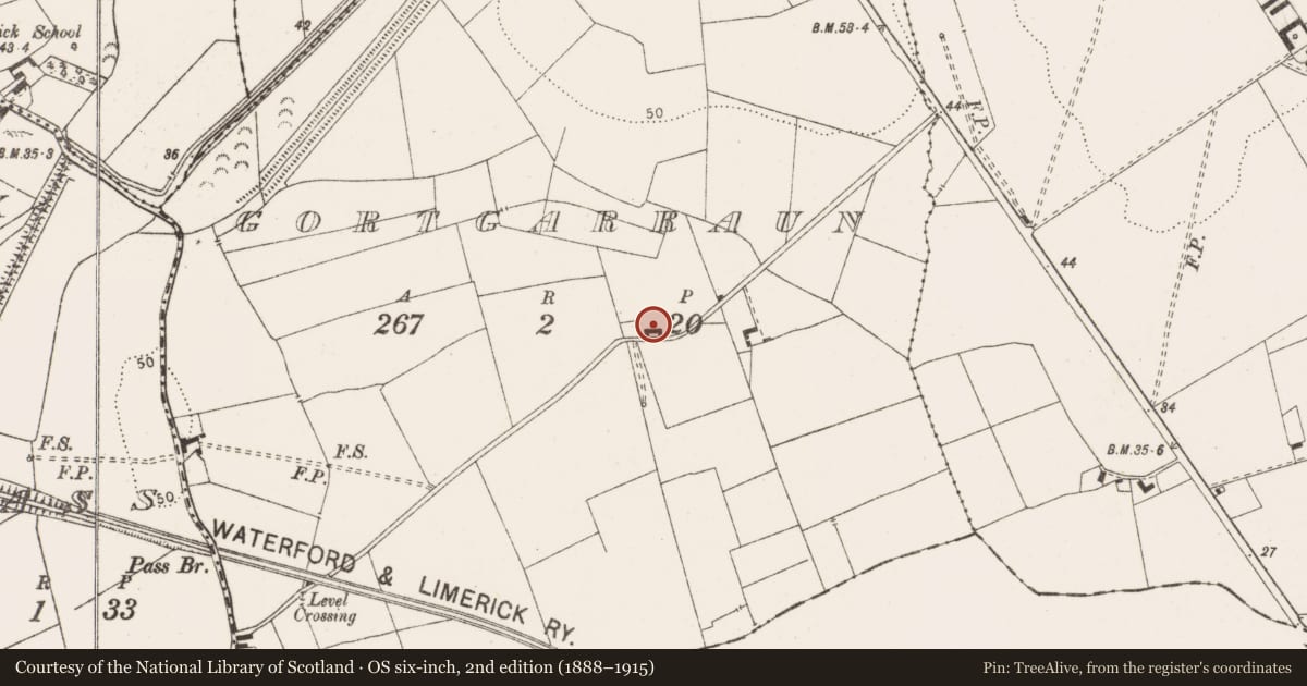 Ordnance Survey six-inch map, 2nd edition (1888–1915) covering the location of Enclosure, Gortgarraun, County Clare, with a pin at the register's coordinates