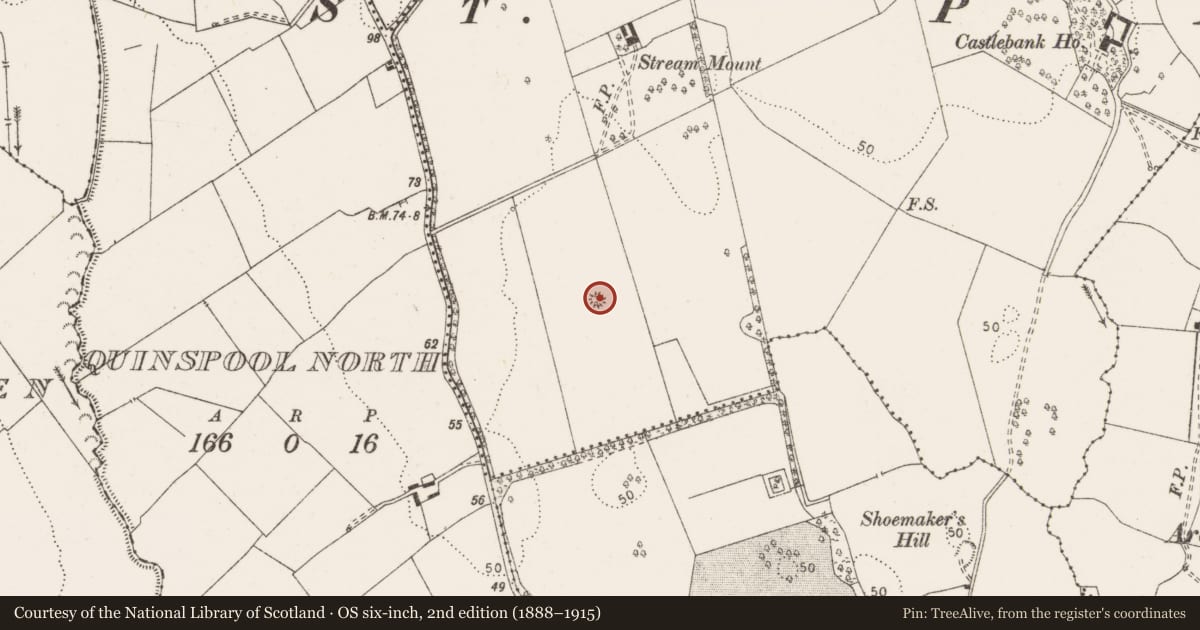 Ordnance Survey six-inch map, 2nd edition (1888–1915) covering the location of Enclosure, Castlebank, County Clare, with a pin at the register's coordinates