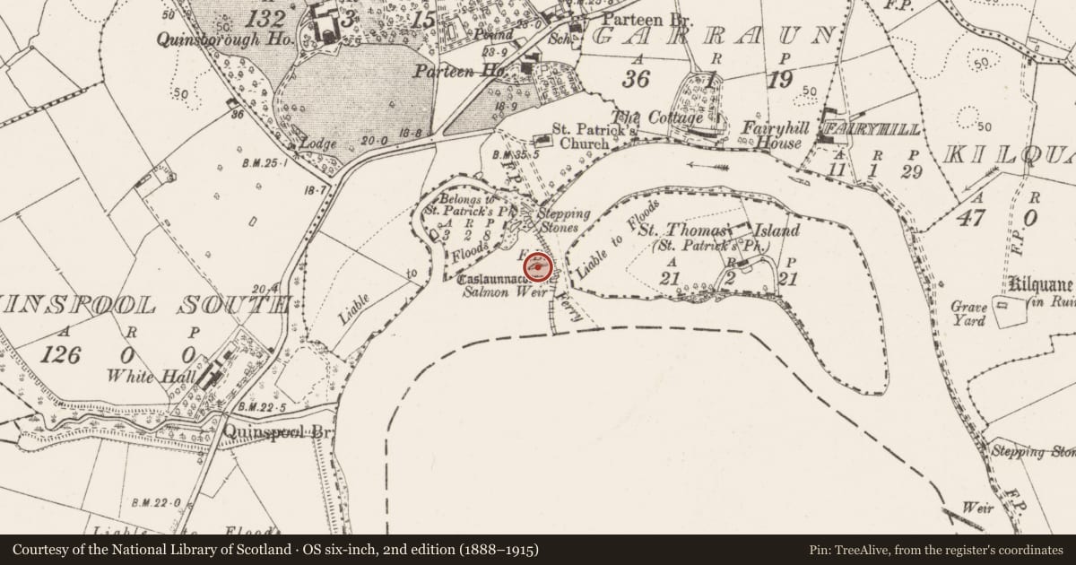 Ordnance Survey six-inch map, 2nd edition (1888–1915) covering the location of Castle - unclassified, Parteen, County Clare, with a pin at the register's coordinates