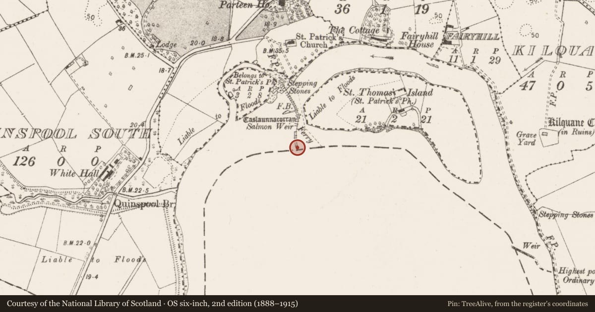 Ordnance Survey six-inch map, 2nd edition (1888–1915) covering the location of Weir - fish, Parteen, County Clare, with a pin at the register's coordinates
