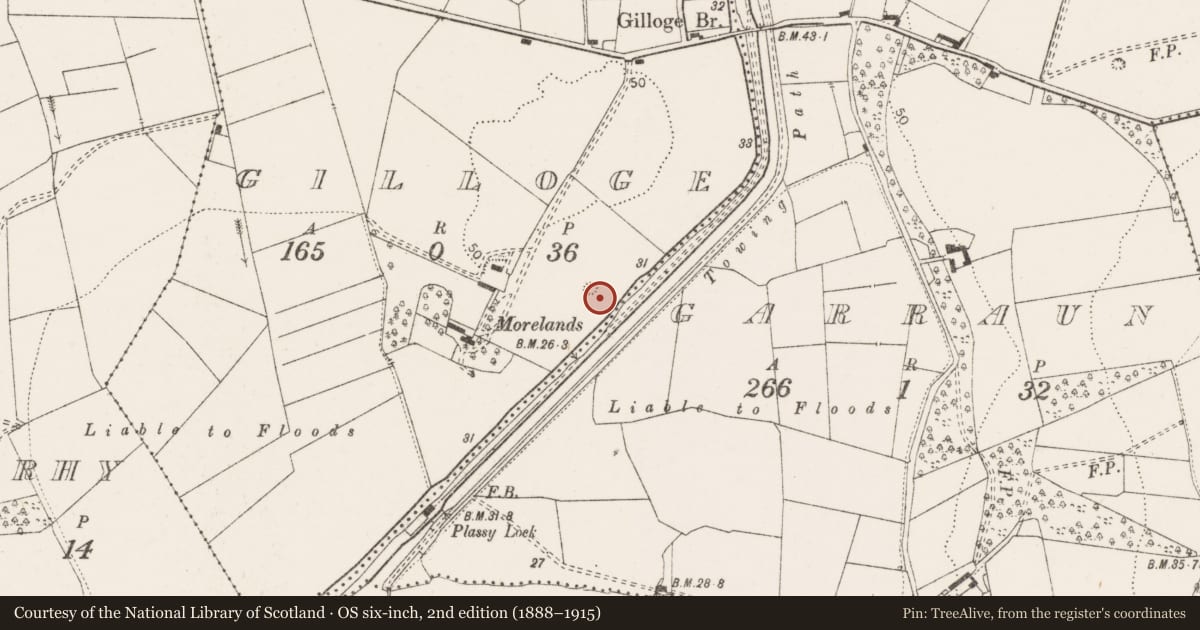 Ordnance Survey six-inch map, 2nd edition (1888–1915) covering the location of Enclosure, Gilloge, County Clare, with a pin at the register's coordinates