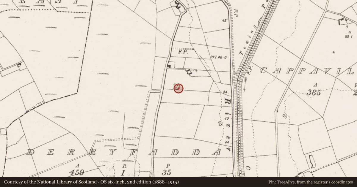 Ordnance Survey six-inch map, 2nd edition (1888–1915) covering the location of Enclosure, Derryfadda, County Clare, with a pin at the register's coordinates