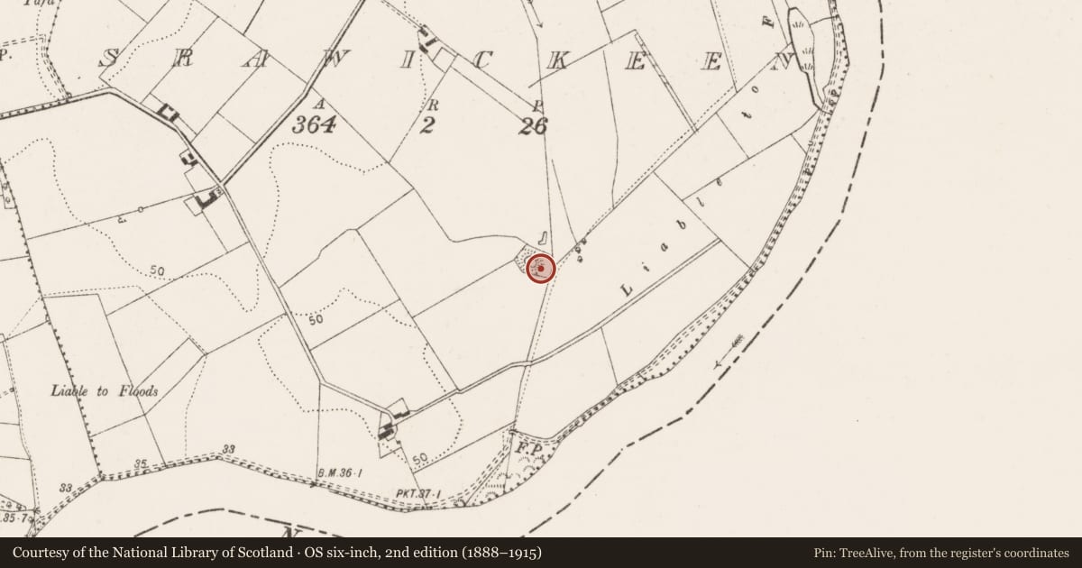 Ordnance Survey six-inch map, 2nd edition (1888–1915) covering the location of Enclosure, Srawickeen, County Clare, with a pin at the register's coordinates