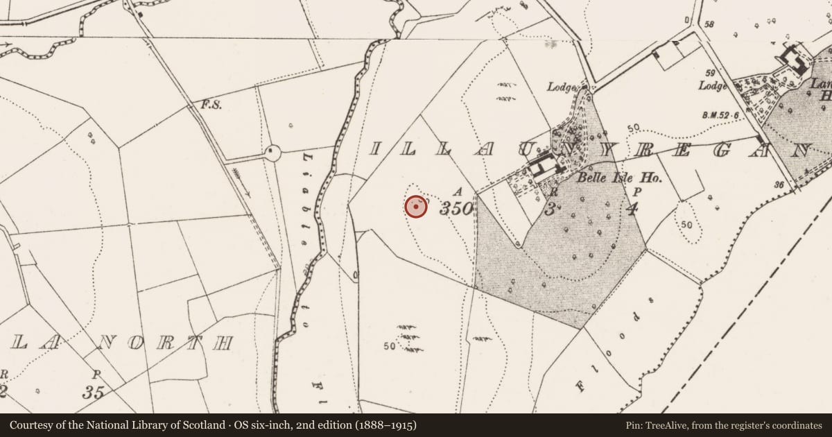 Ordnance Survey six-inch map, 2nd edition (1888–1915) covering the location of Enclosure, Illaunyregan, County Clare, with a pin at the register's coordinates
