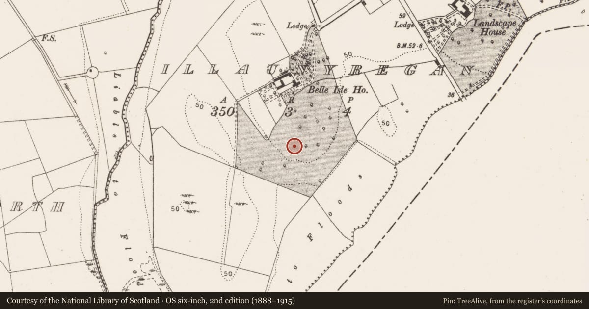 Ordnance Survey six-inch map, 2nd edition (1888–1915) covering the location of Enclosure, Illaunyregan, County Clare, with a pin at the register's coordinates