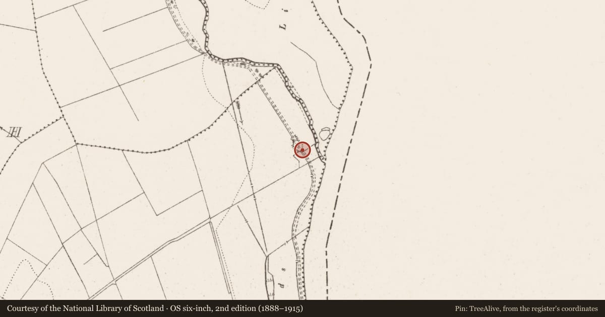 Ordnance Survey six-inch map, 2nd edition (1888–1915) covering the location of Enclosure, Srawickeen, County Clare, with a pin at the register's coordinates
