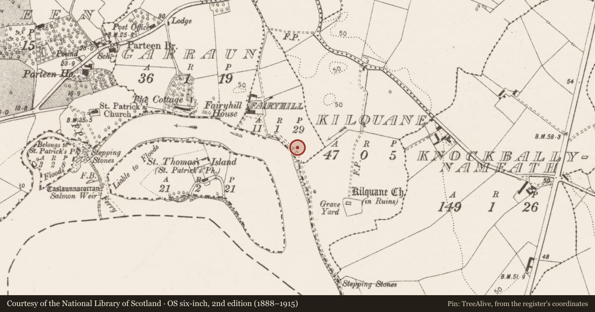 Ordnance Survey six-inch map, 2nd edition (1888–1915) covering the location of Castle - ringwork, Fairyhill, County Clare, with a pin at the register's coordinates