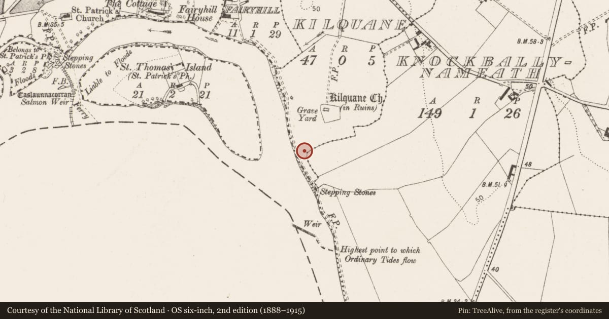 Ordnance Survey six-inch map, 2nd edition (1888–1915) covering the location of Hearth, Kilquane, County Clare, with a pin at the register's coordinates