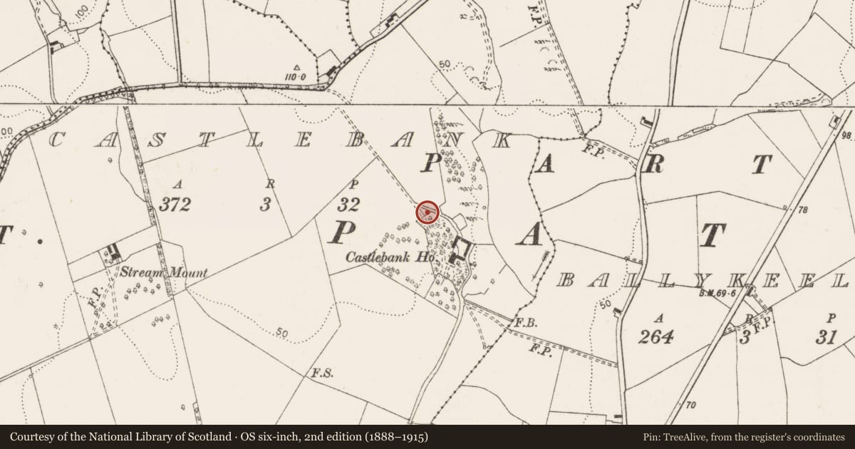 Ordnance Survey six-inch map, 2nd edition (1888–1915) covering the location of Burial ground, Castlebank, County Clare, with a pin at the register's coordinates
