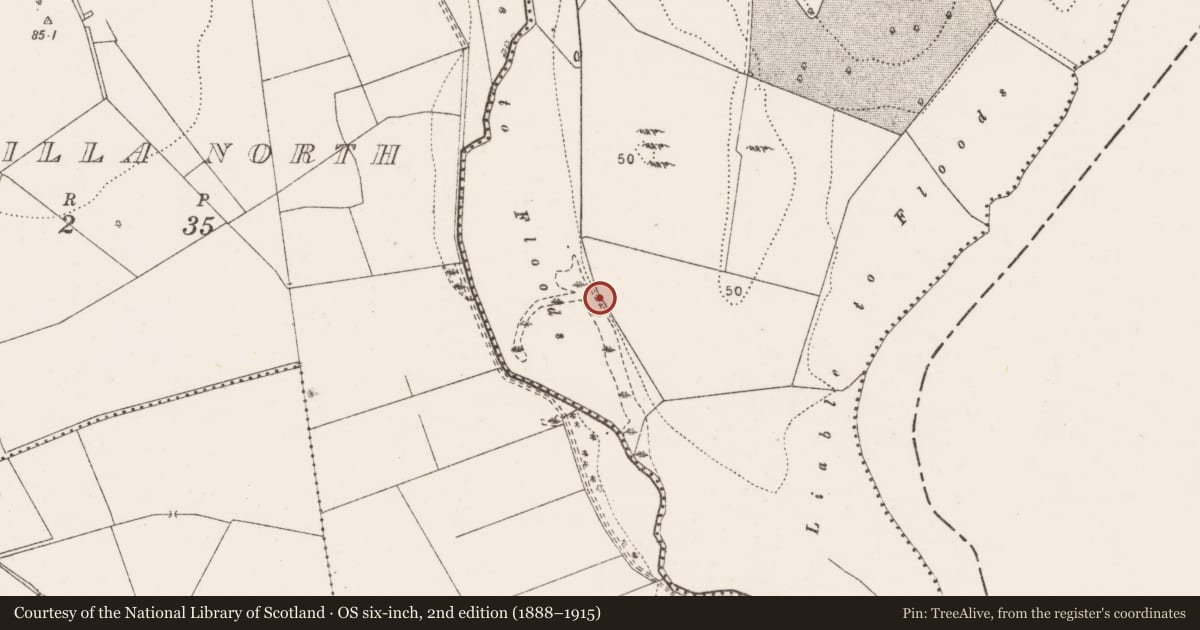 Ordnance Survey six-inch map, 2nd edition (1888–1915) covering the location of Burnt mound, Illaunyregan, County Clare, with a pin at the register's coordinates