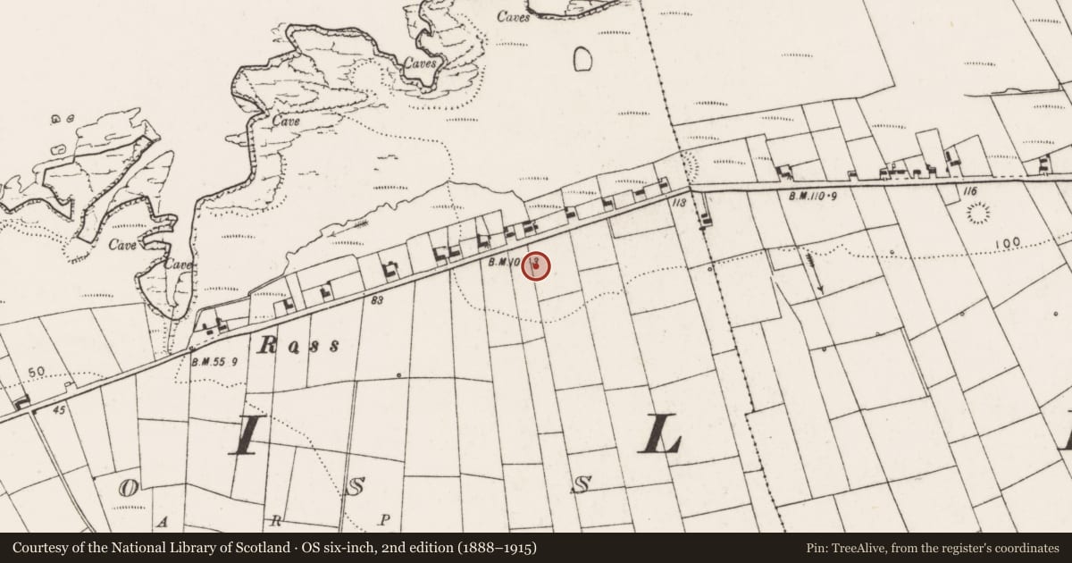 Ordnance Survey six-inch map, 2nd edition (1888–1915) covering the location of Earthwork, Ross, County Clare, with a pin at the register's coordinates
