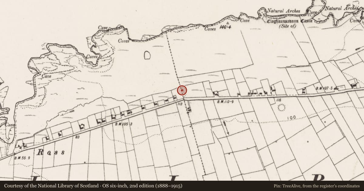 Ordnance Survey six-inch map, 2nd edition (1888–1915) covering the location of Ringfort - rath, Cloghaunsavaun, Ross, County Clare, with a pin at the register's coordinates