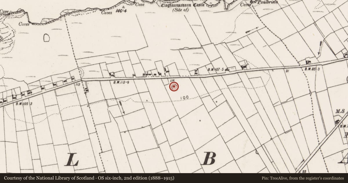 Ordnance Survey six-inch map, 2nd edition (1888–1915) covering the location of Ringfort - rath, Cloghaunsavaun, County Clare, with a pin at the register's coordinates