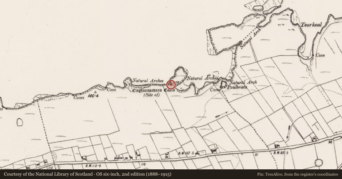 Ordnance Survey six-inch map, 2nd edition (1888–1915) covering the location of Castle - unclassified, Cloghaunsavaun, County Clare, with a pin at the register's coordinates