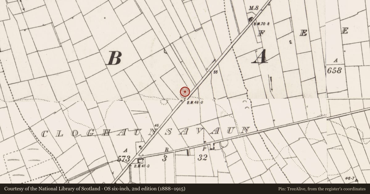 Ordnance Survey six-inch map, 2nd edition (1888–1915) covering the location of Ringfort - rath, Cloghaunsavaun, County Clare, with a pin at the register's coordinates